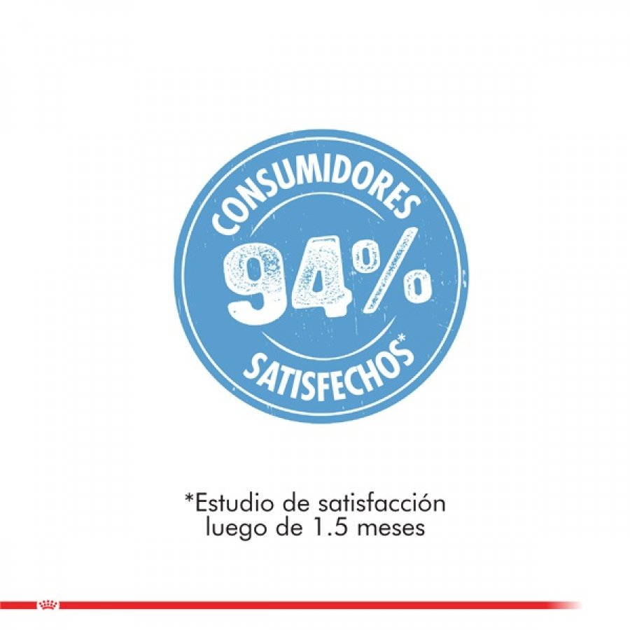 Royal Canin Cachorro Maxi Starter alimento para perro, , large image number null