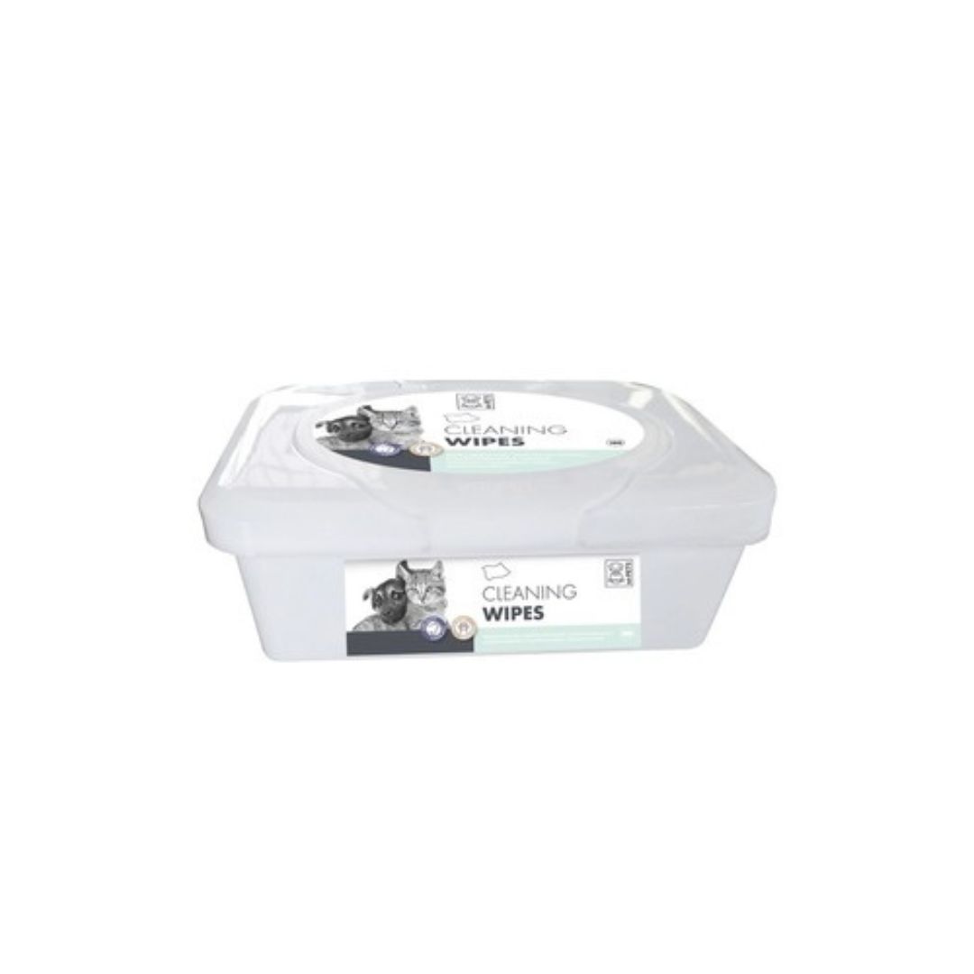 Toallas humedas caja - 80 pcs