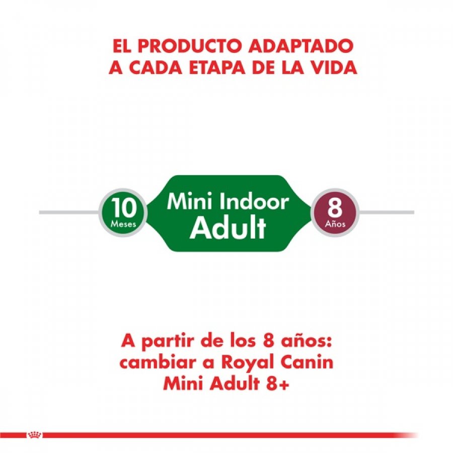 Royal Canin adulto Mini Indoor Adult alimento para perro, , large image number null