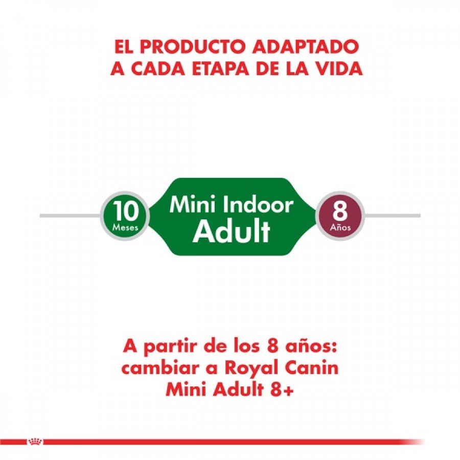 Royal Canin adulto Mini Indoor Adult alimento para perro, , large image number null