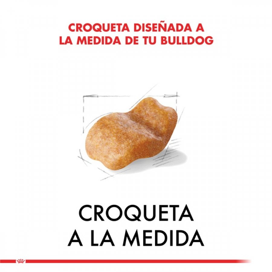 Royal Canin adulto bulldog adult 12 KG alimento para perro, , large image number null