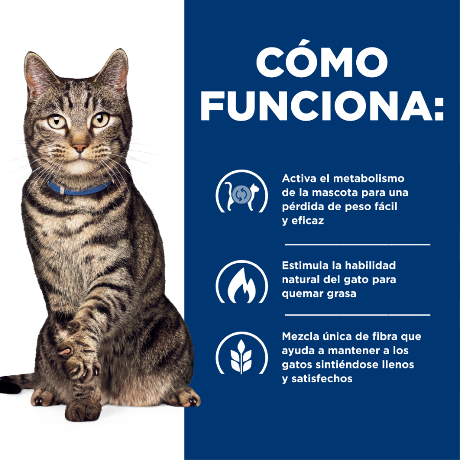 Hills Feline Metabolic alimento para gatos, , large image number null