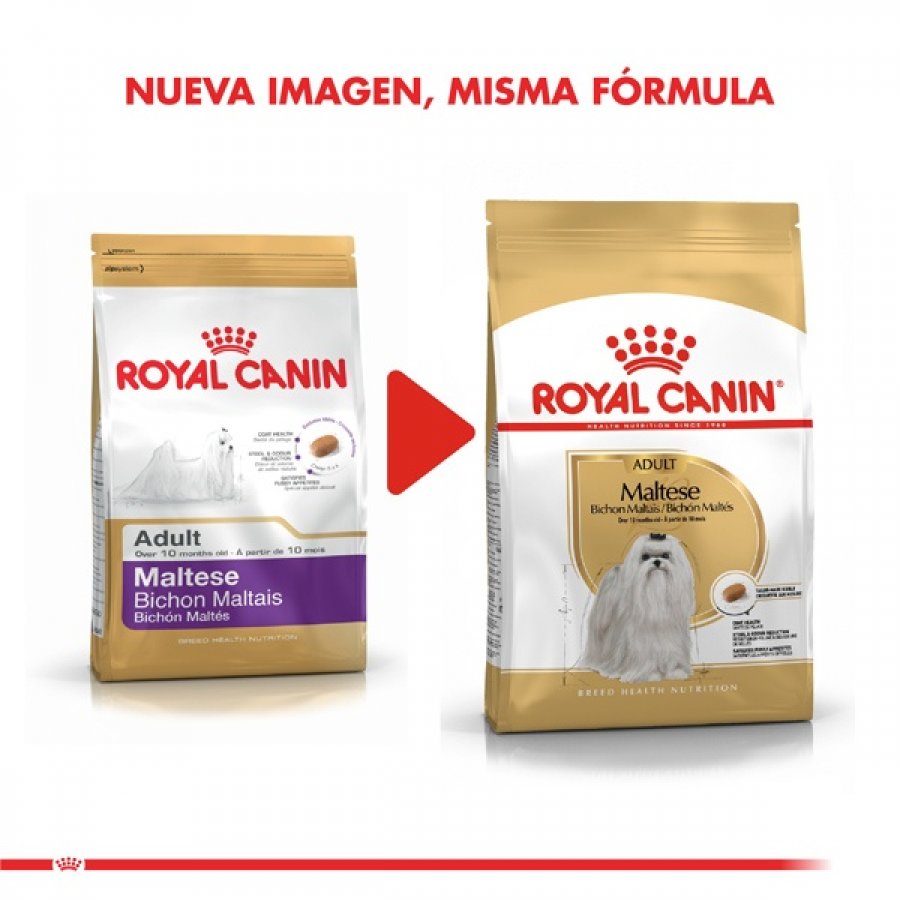 Royal Canin adulto Maltes Adult alimento para perro, , large image number null