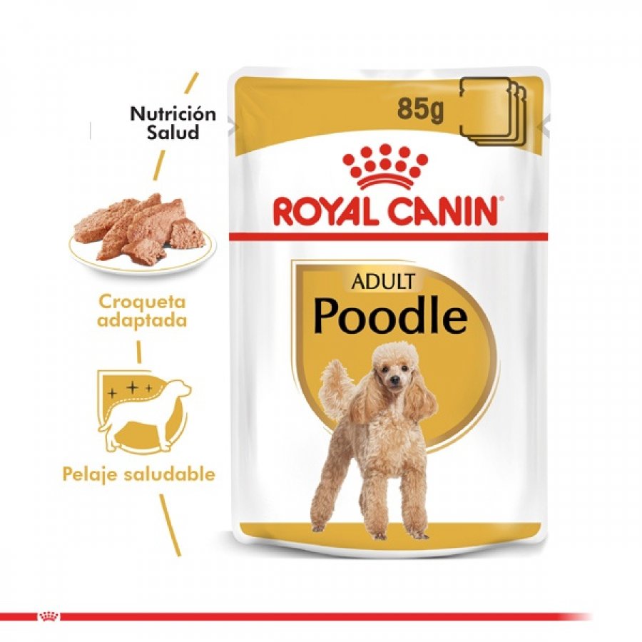 Royal Canin Alimento Húmedo Perro Adulto Poodle Pouch 85Gr, , large image number null