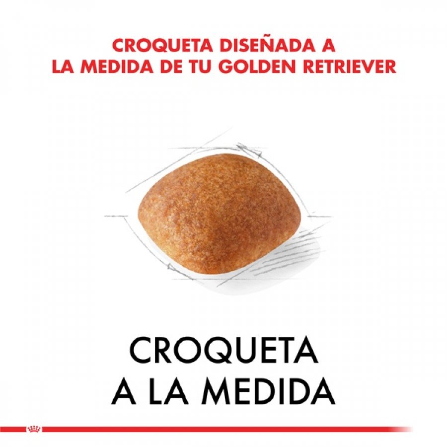 Royal Canin adulto Golden Retriever alimento para perro, , large image number null