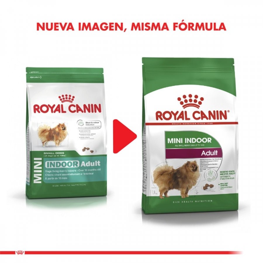 Royal Canin adulto Mini Indoor Adult alimento para perro, , large image number null