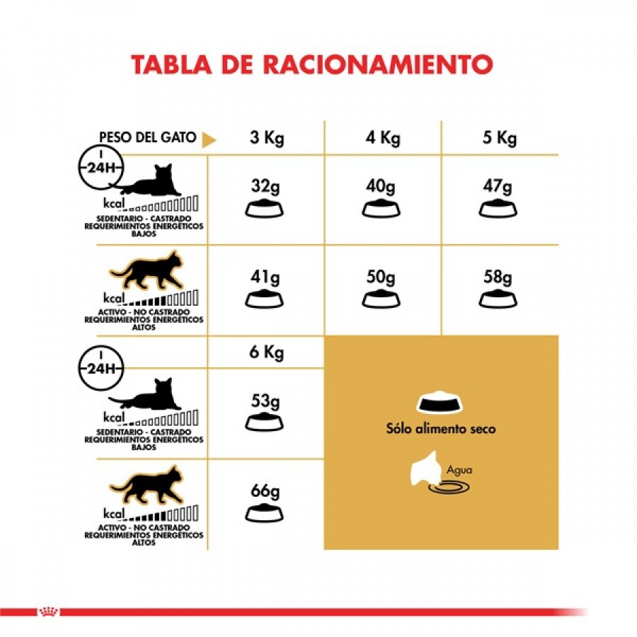 Royal Canin adulto persian 1.5 KG alimento para gato, , large image number null