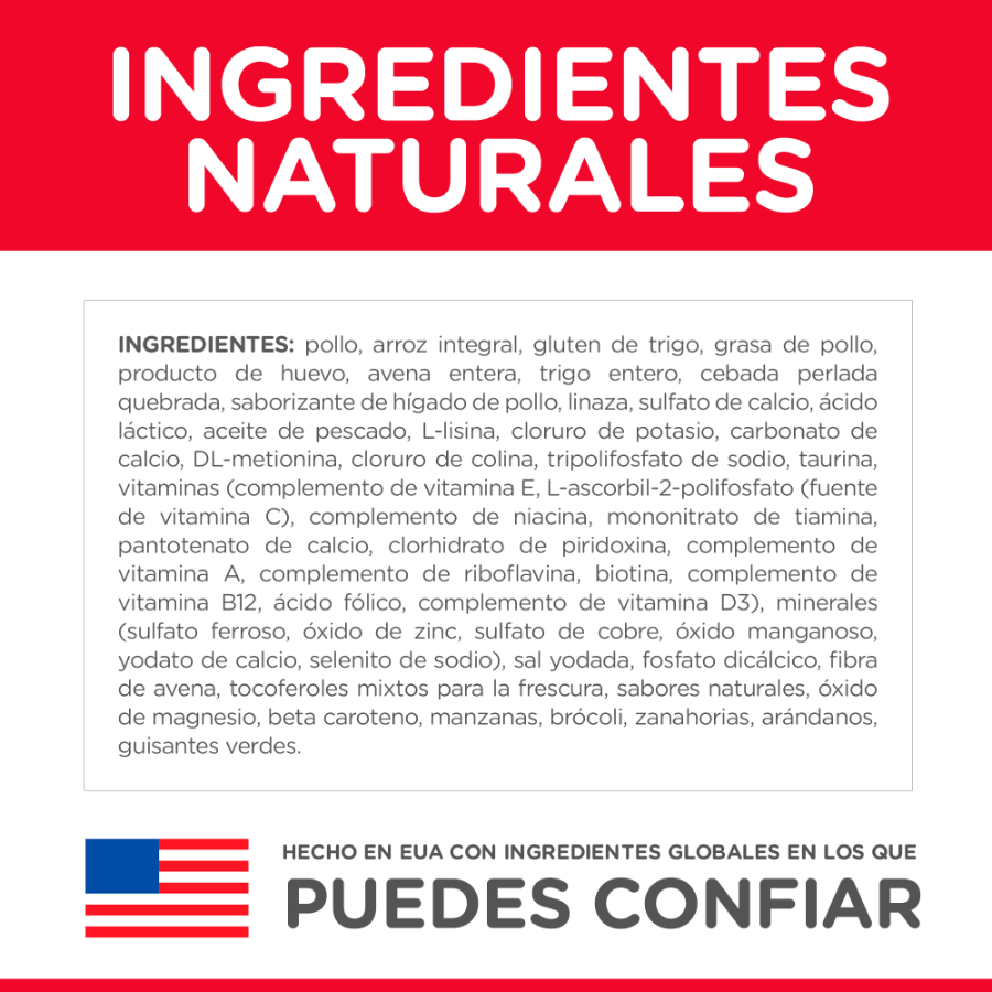 Hills Kitten Healthy Development alimento para gato, , large image number null
