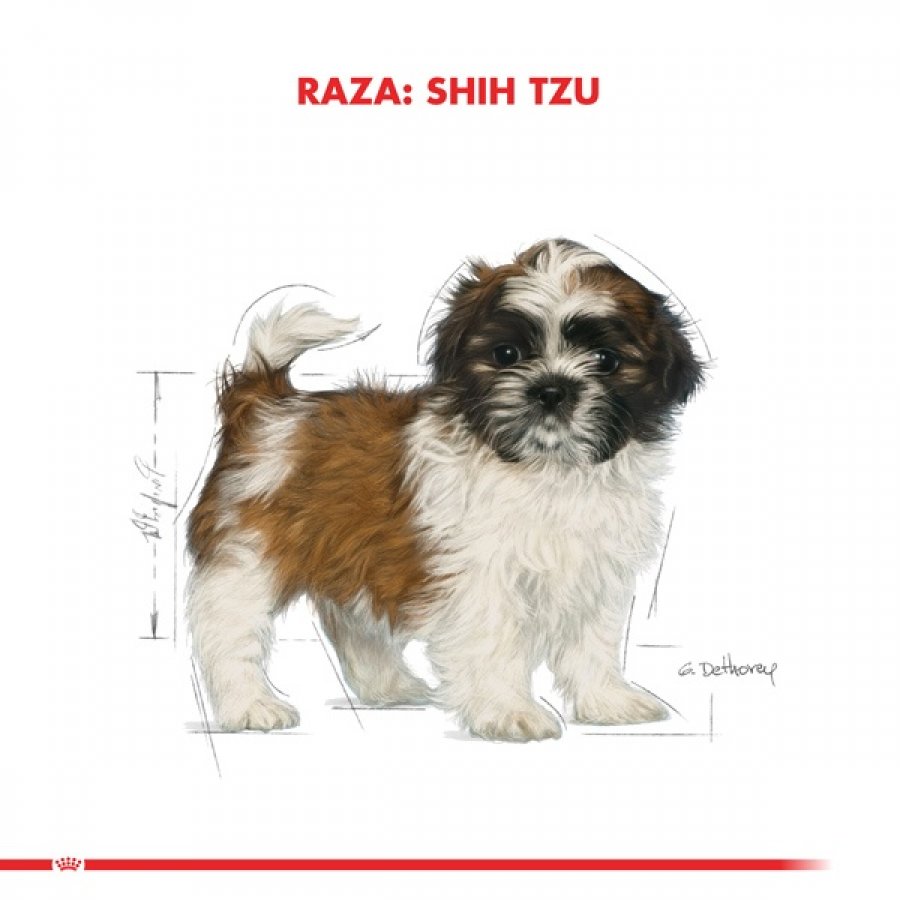 Royal Canin adulto Shih Tzu alimento para perro, , large image number null