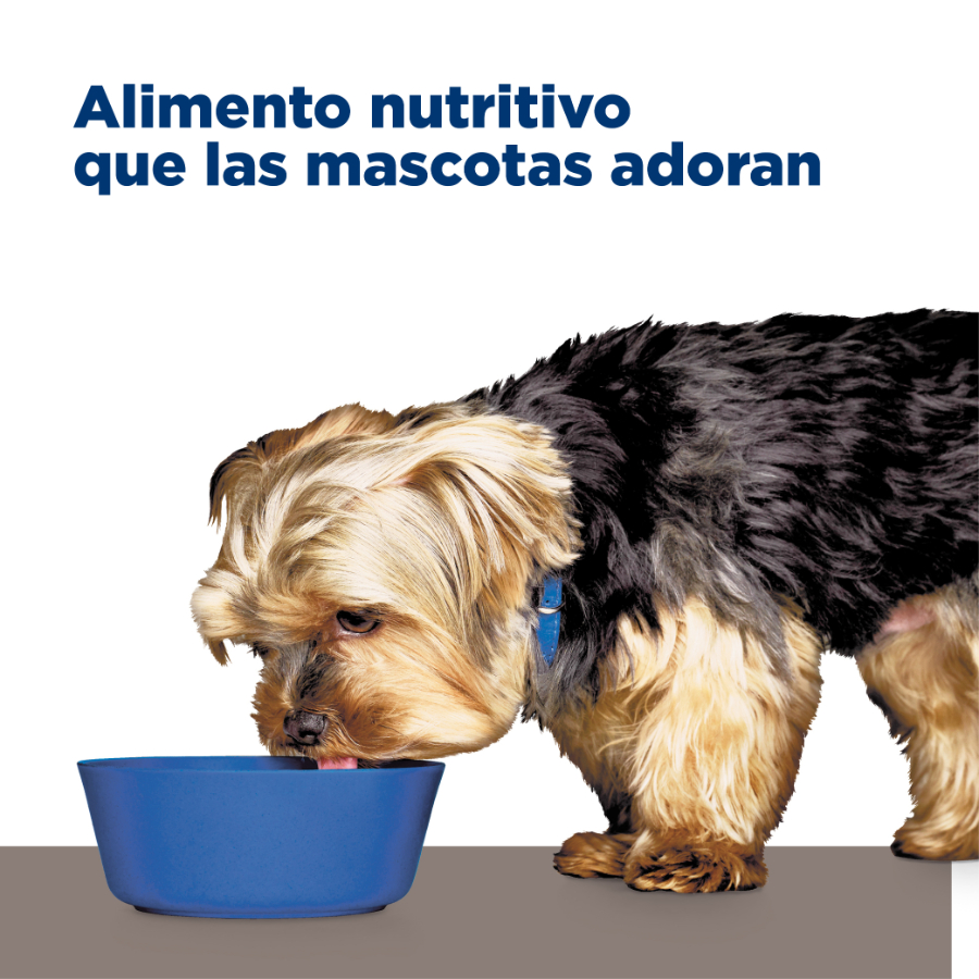Hills Canine lata L/D Liver Care alimento húmedo para perros, , large image number null