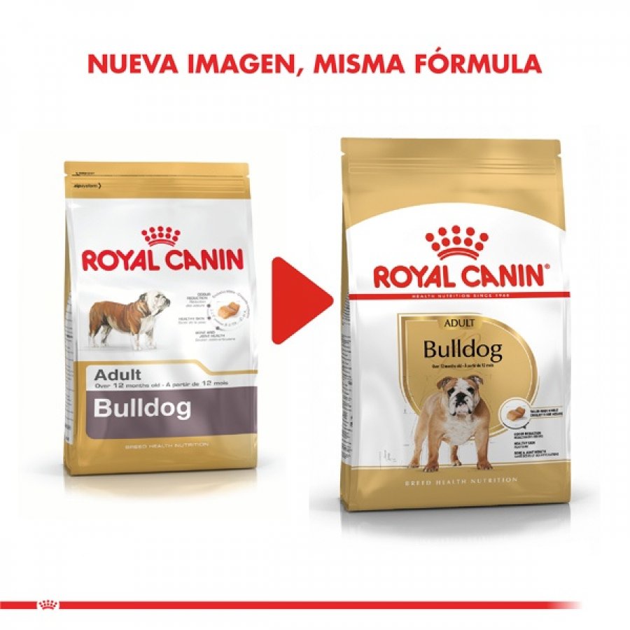 Royal Canin adulto bulldog adult 12 KG alimento para perro, , large image number null