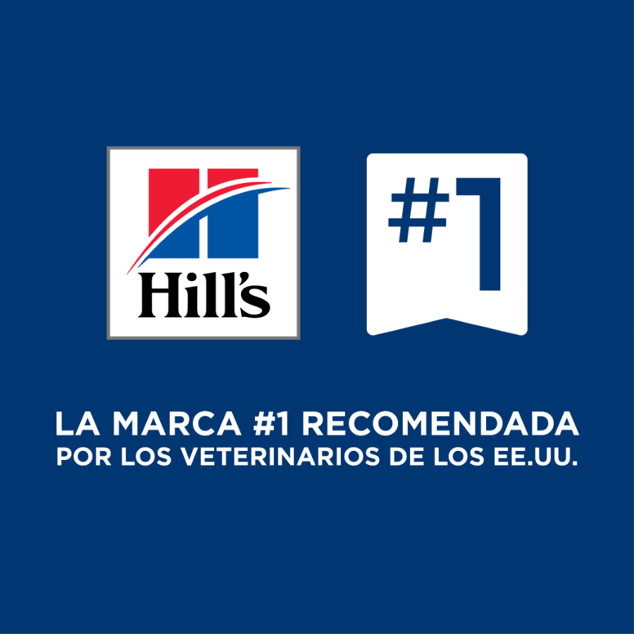 Hills Canine lata L/D Liver Care alimento húmedo para perros, , large image number null