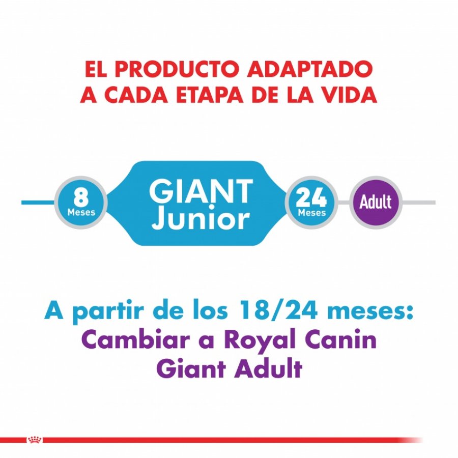 Royal Canin cachorro giant junior 15 KG alimento para perro, , large image number null