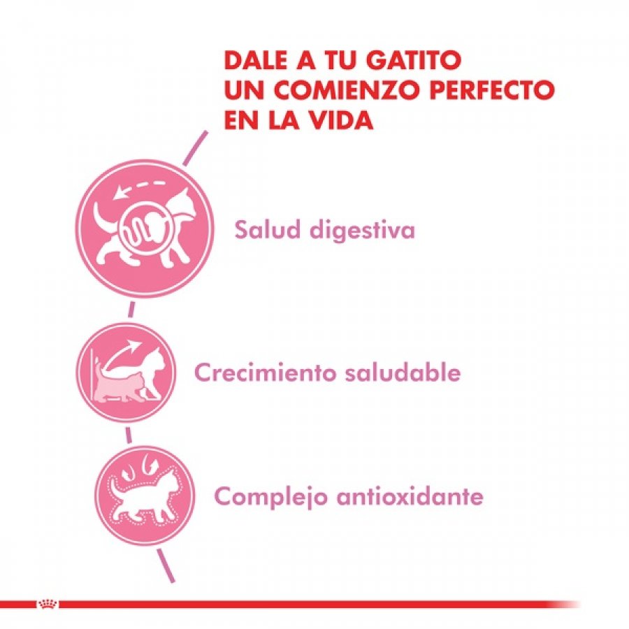 Royal Canin Gatito Felino Kitten alimento para gato, , large image number null