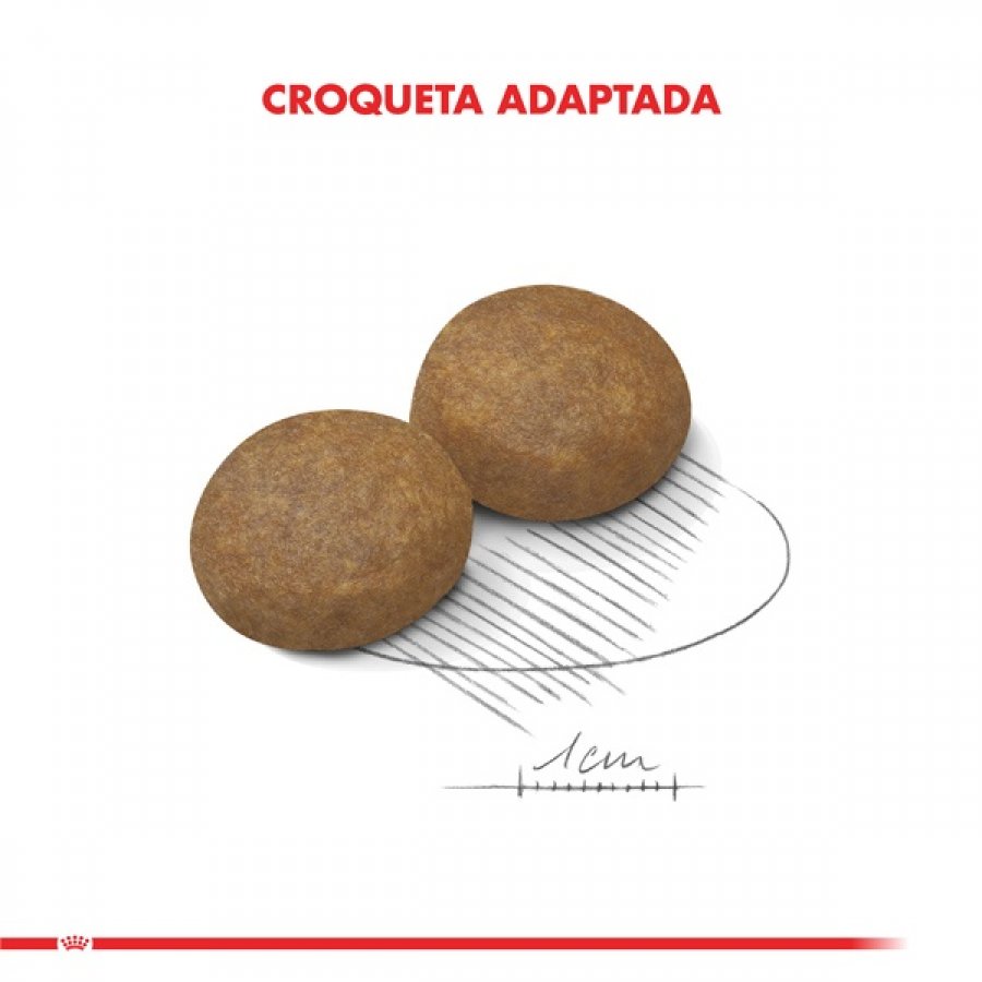 Royal Canin adulto Maxi adulto 5+ alimento para perro, , large image number null