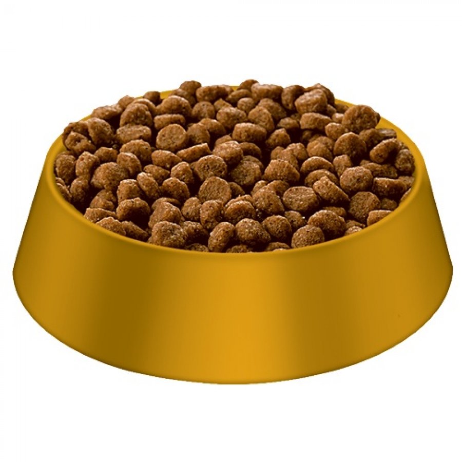 Hills Canine Adult Sensitive Stomach & Skin Small & Toy Breed, , large image number null