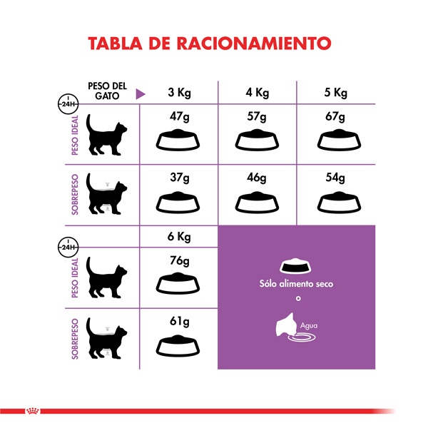 Royal Canin Alimento Seco Gato Adulto Regular Sterilised, , large image number null