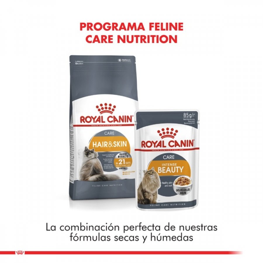 Royal Canin Alimento Seco Gato Adulto Hair & Skin, , large image number null