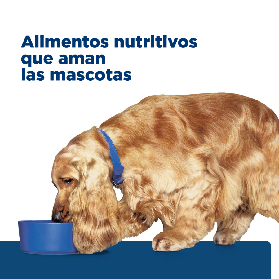 Hills canine z/d skin & food sensitivities 3.6 KG, , large image number null