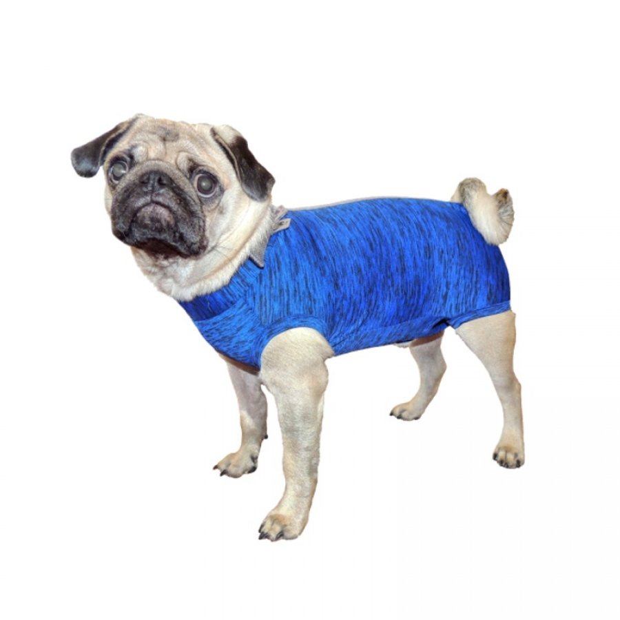 Body Quirurgico Perro - Azul, , large image number null