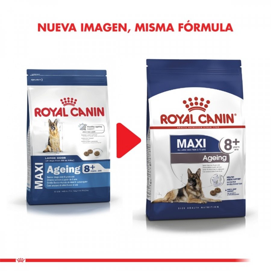 Royal Canin Alimento Seco Perro Adulto Maxi Ageing 8+, , large image number null