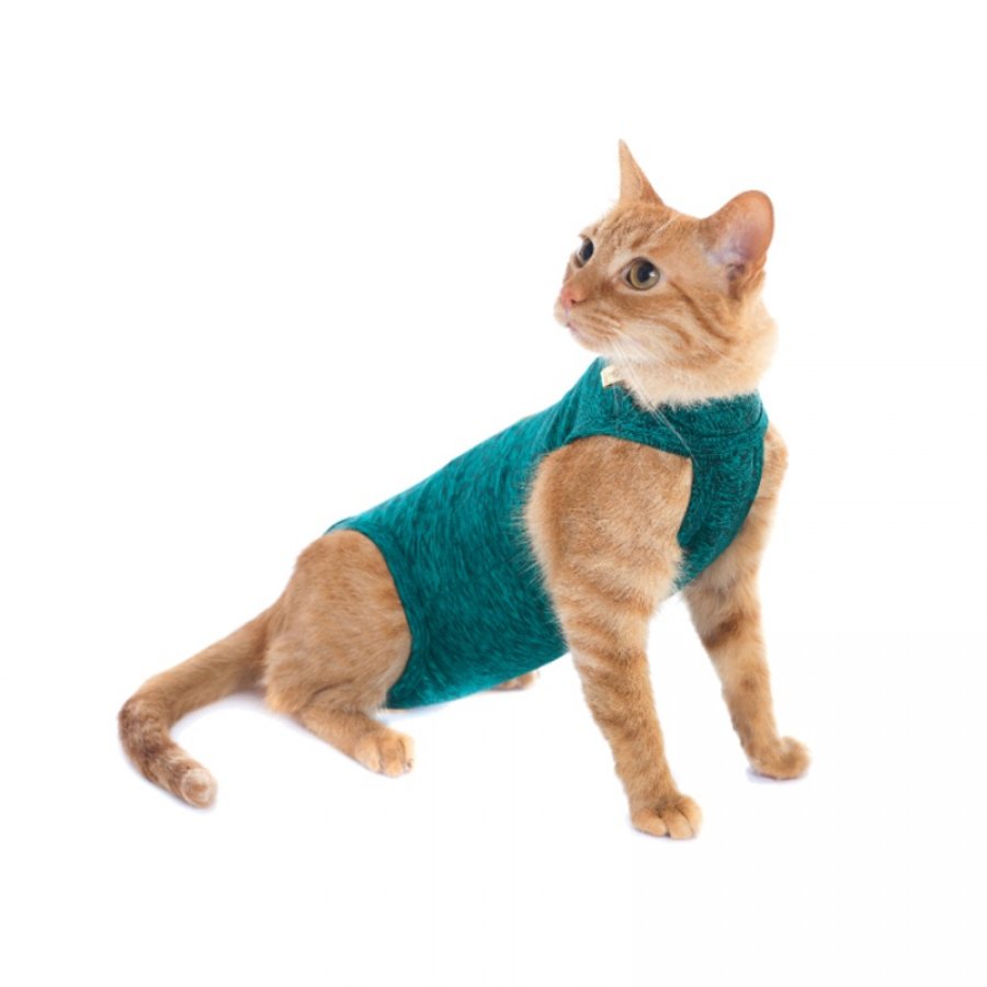 Body Quirurgico Gato - Verde