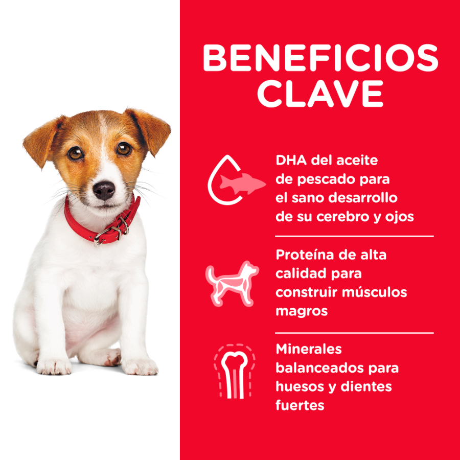 Hills Puppy small bites receta de harina de pollo y cebada alimento para perro, , large image number null