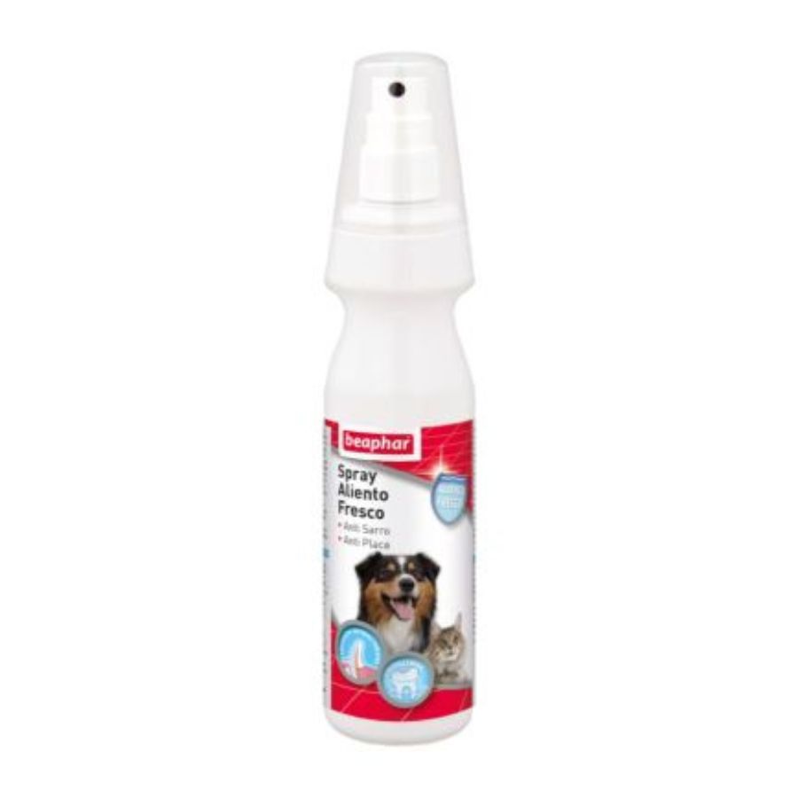 Spray aliento fresco pyg