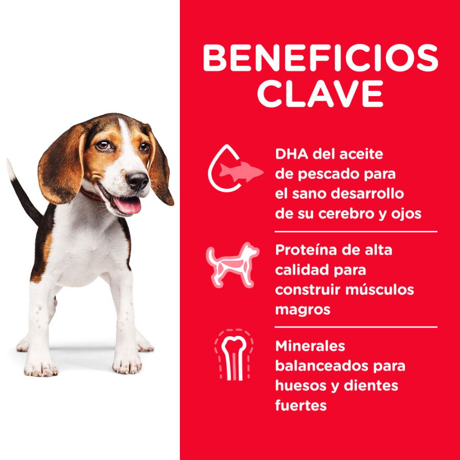 Hills Puppy Healthy Development alimento para perro, , large image number null