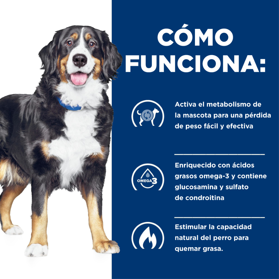 Hills Canine Metabolic + Mobility, , large image number null