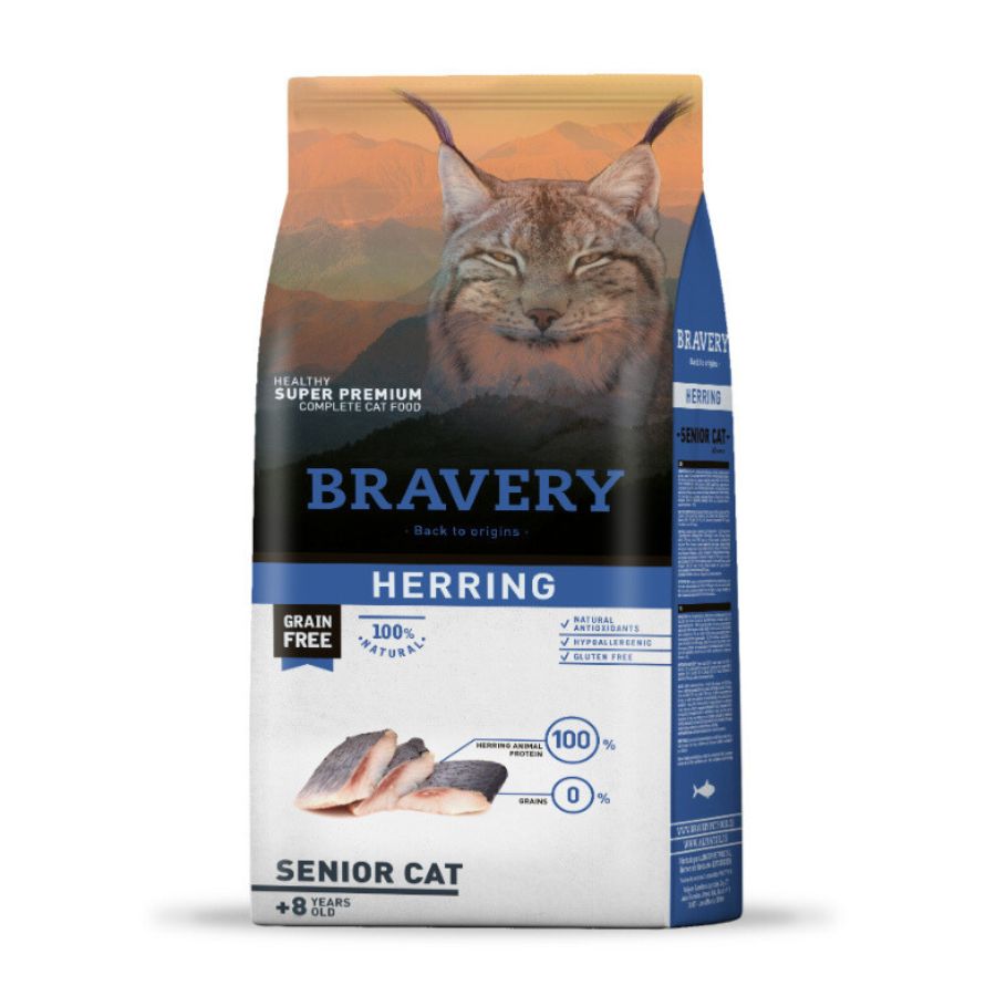 Bravery herring senior cat, , large image number null