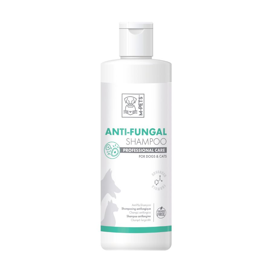 Shampoo anti-fungal - 250 ML - 250 ML