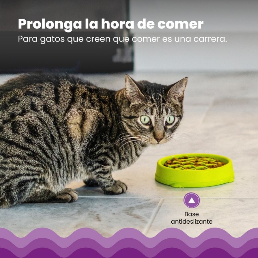 Kitty Slow Feeder Grn SM, , large image number null