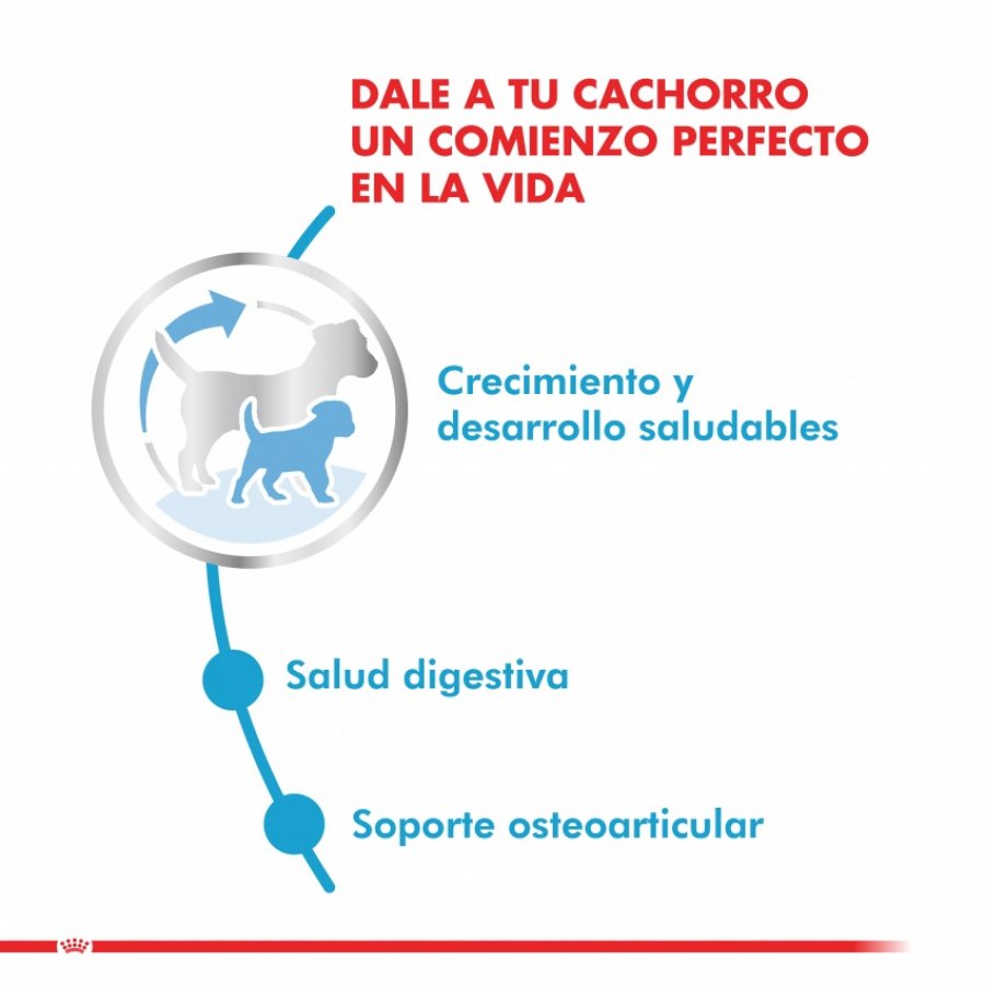 Royal Canin Cachorro Giant Puppy alimento para perro, , large image number null