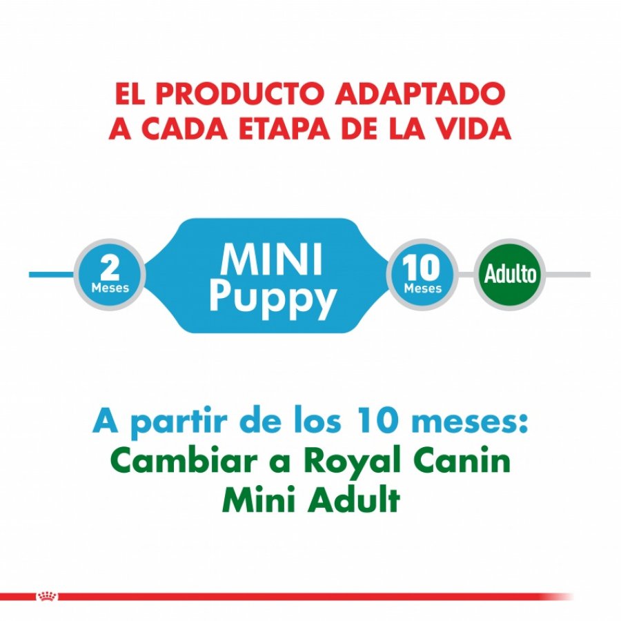 Royal Canin Cachorro Mini Puppy alimento para perro, , large image number null
