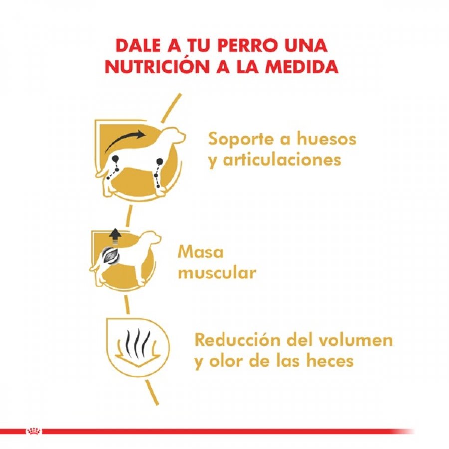 Royal Canin adulto Dachshund alimento para perro, , large image number null