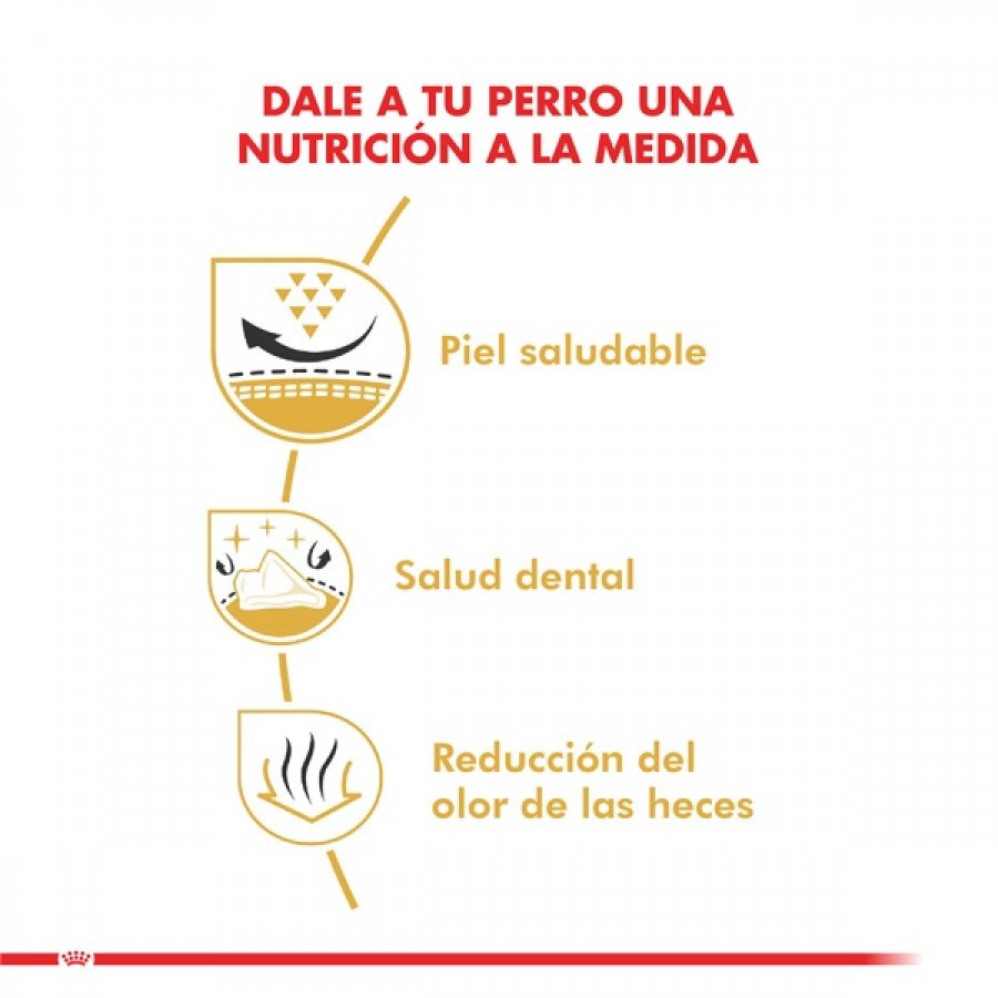 Royal Canin adulto Shih Tzu alimento para perro, , large image number null