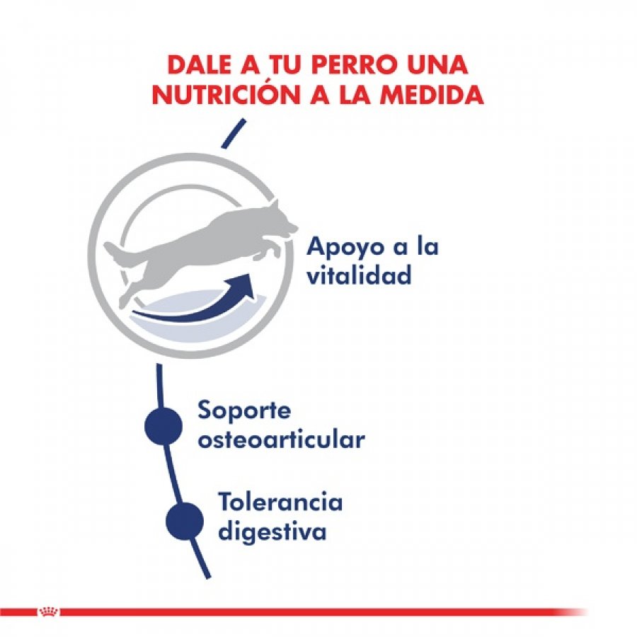 Royal Canin adulto Maxi adulto 5+ alimento para perro, , large image number null