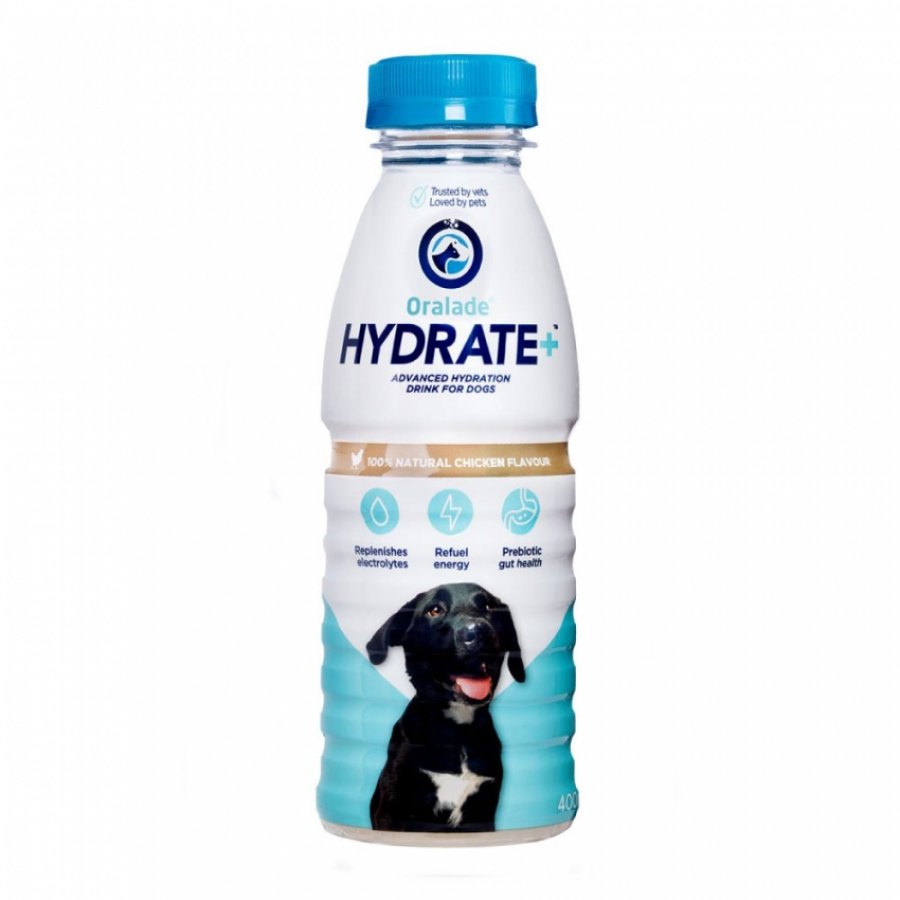 Hydrate dog 500 ML 500ML, , large image number null