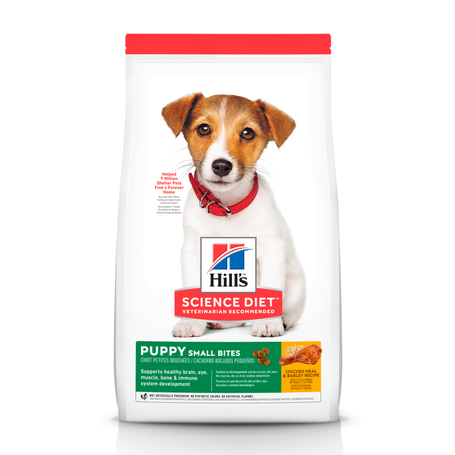 Hills Puppy small bites receta de harina de pollo y cebada alimento para perro, , large image number null