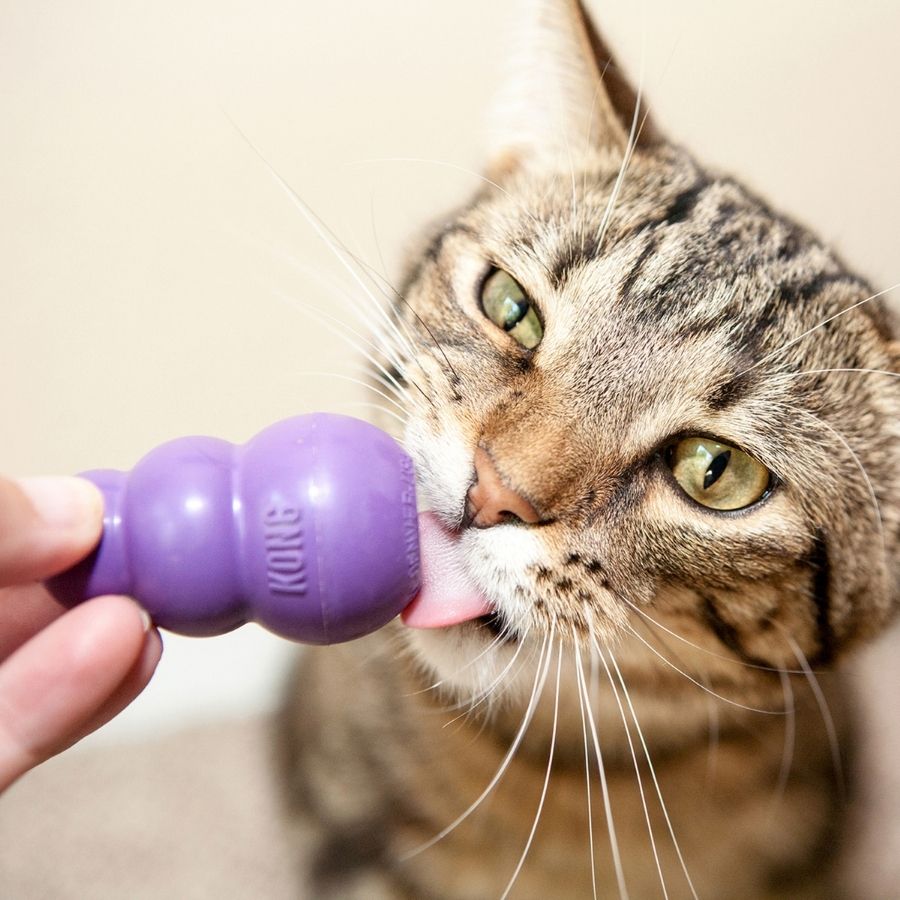 Dispensador de snacks para gatitos, , large image number null