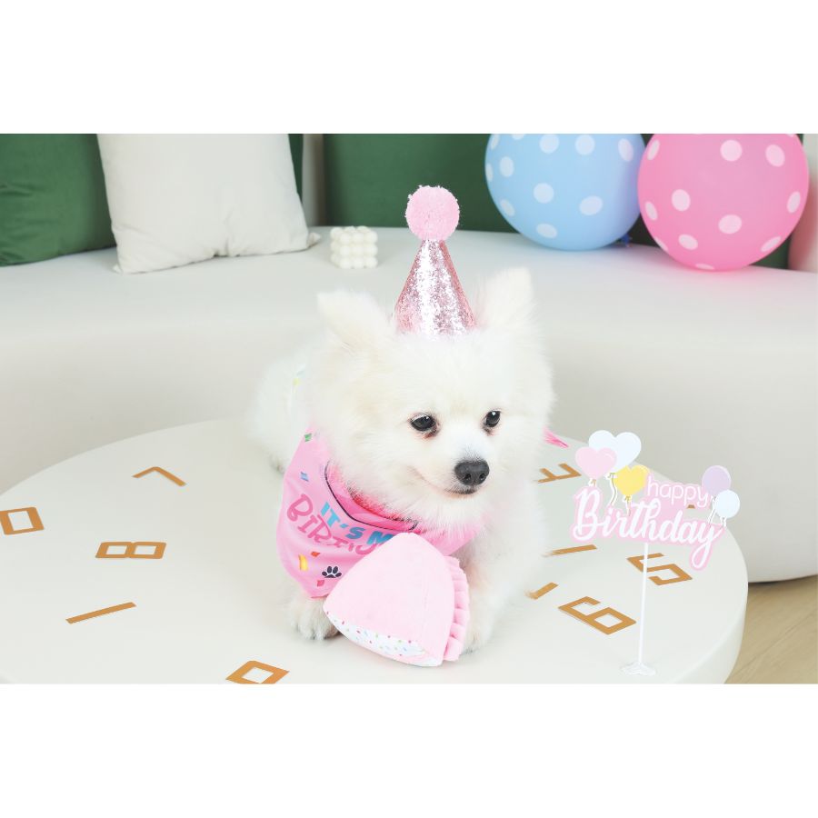 Partytime perro ladys set, , large image number null