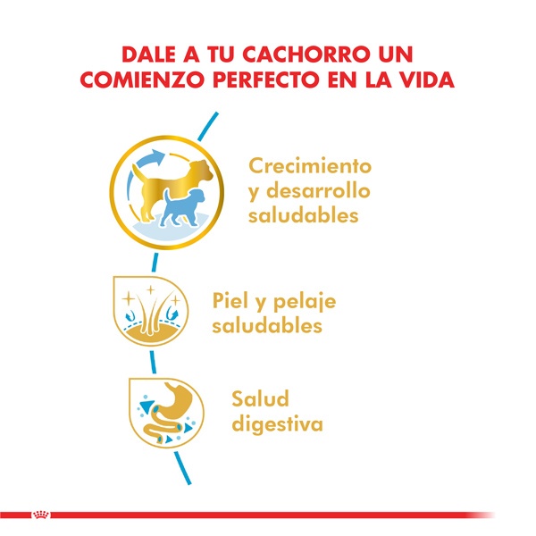 Royal Canin cachorro shih tzu puppy 2.5 KG alimento para perro, , large image number null
