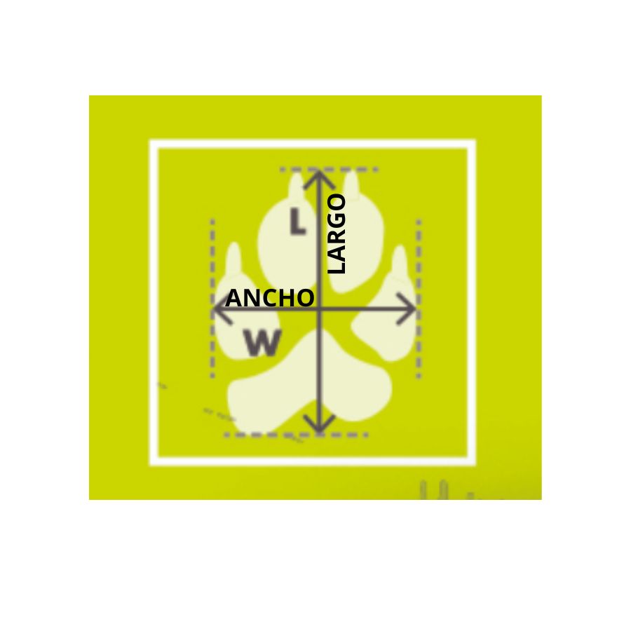 Mpets zapatos de senderismo para perro, , large image number null