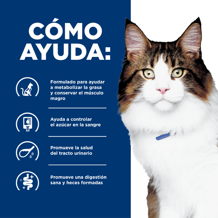 Hills Feline W/D Digestive / Weight Mgmt., , large image number null