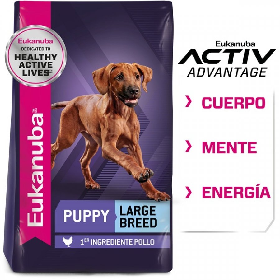Eukanuba Puppy Large alimento para perro, , large image number null