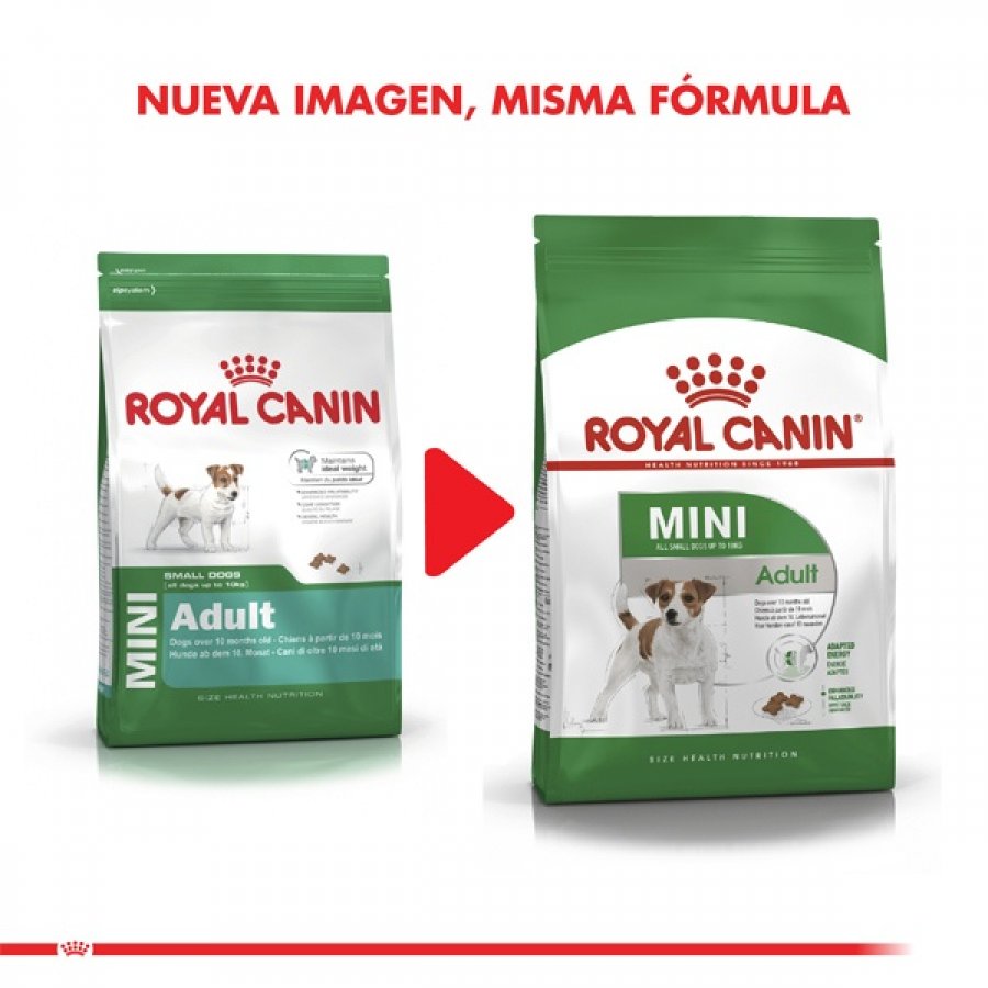 Royal Canin adulto Mini Adult alimento para perro, , large image number null