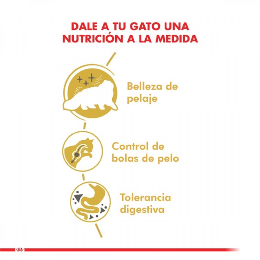 Royal Canin adulto persian 1.5 KG alimento para gato, , large image number null