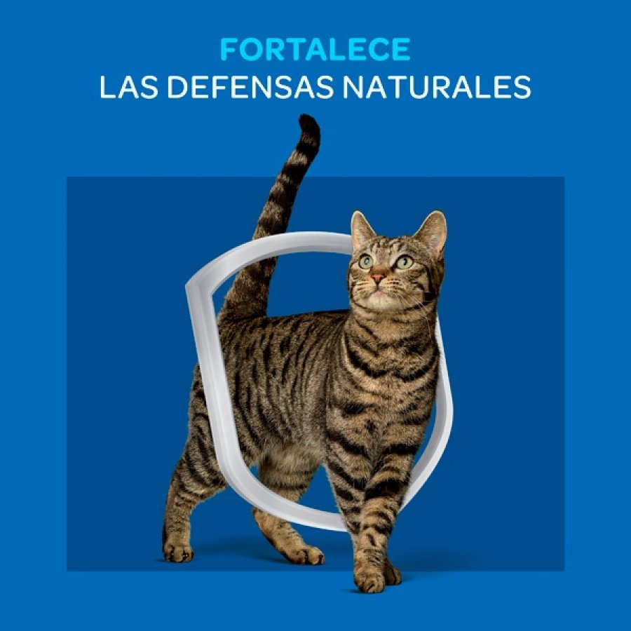 Cat Chow Adulto sabor Carne alimento para gatos, , large image number null