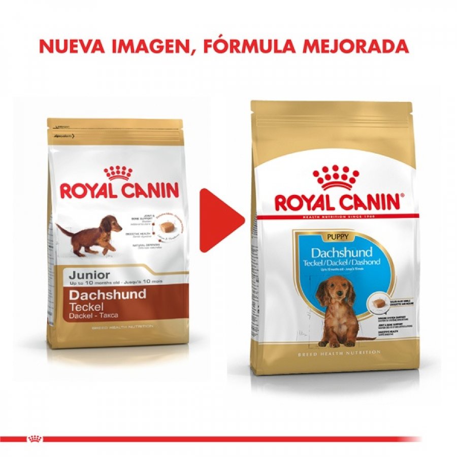 Royal Canin Cachorro Dachshund Junior alimento para perro, , large image number null